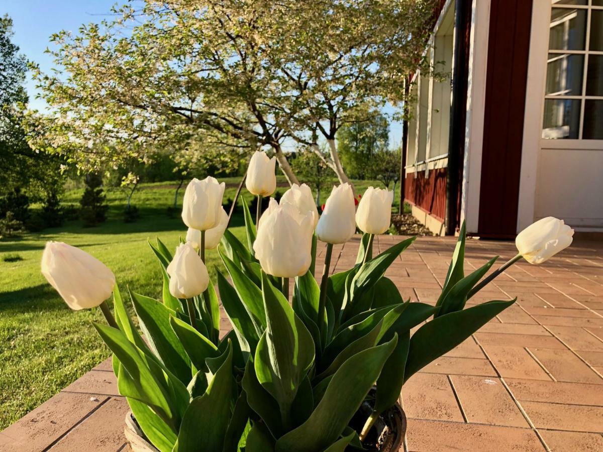 Villa Sofia Boutique Тракай Екстериор снимка